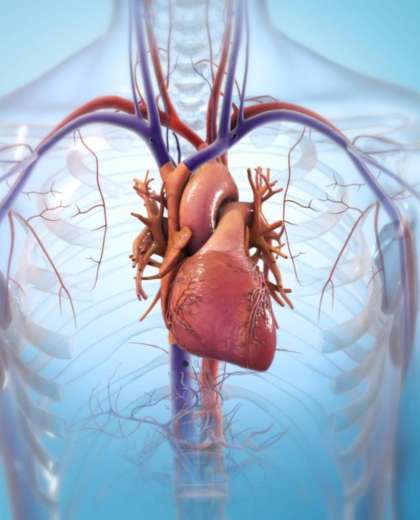 Aplicaciones de la Tecnología Doppler en la Medicina Cardiología