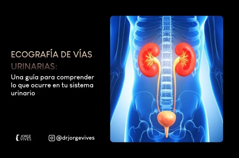 Ecografía de vías urinarias una guía para comprender lo que ocurre en tu sistema urinario - Dr Jorge Vives Ecografia 2